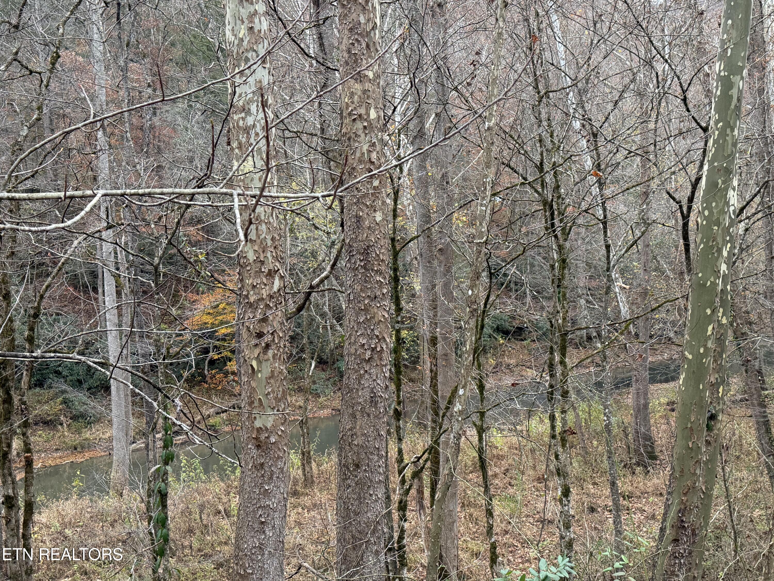 Stinking Creek Road Lafollette TN 37766