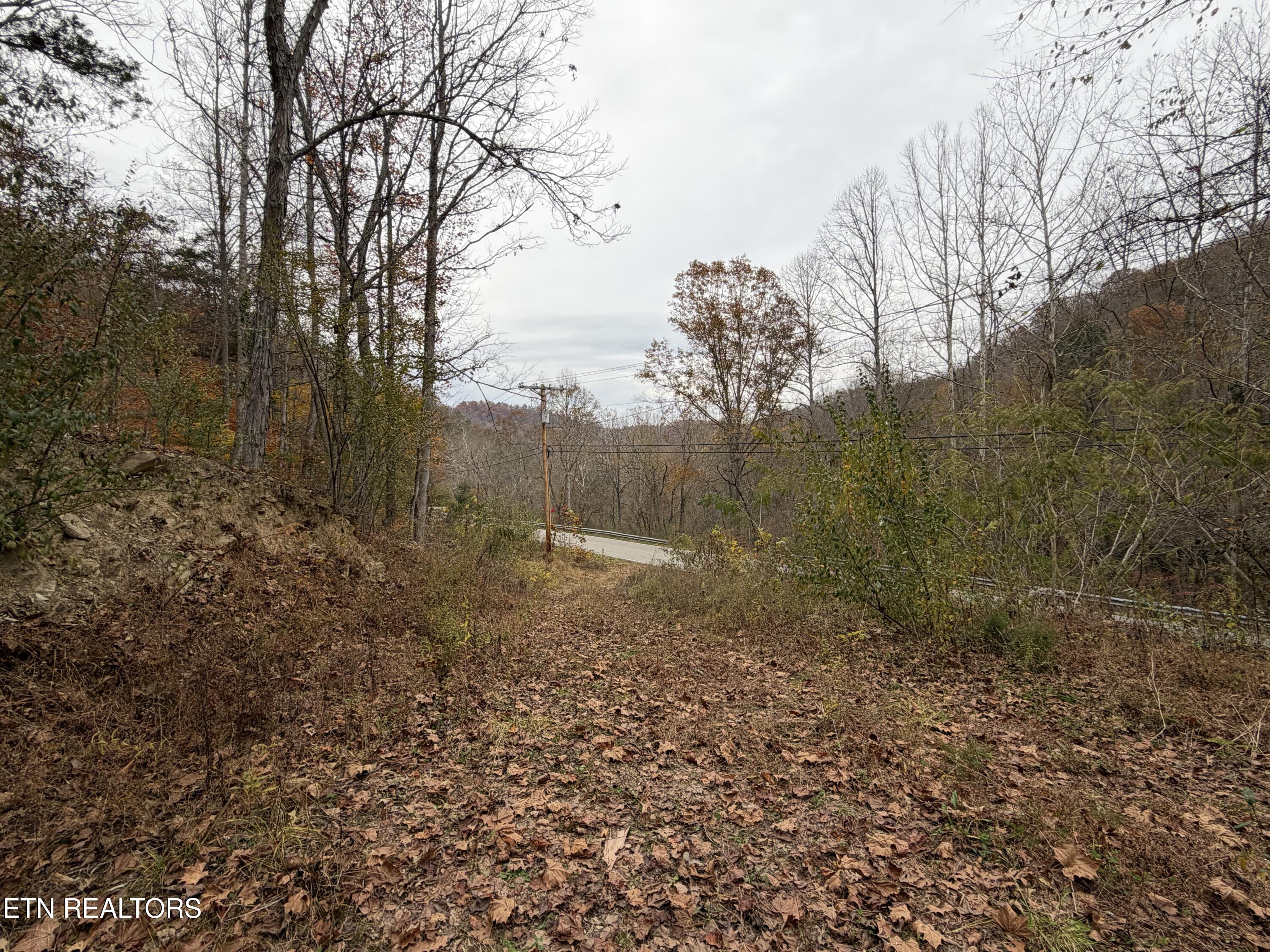 Stinking Creek Road Lafollette TN 37766