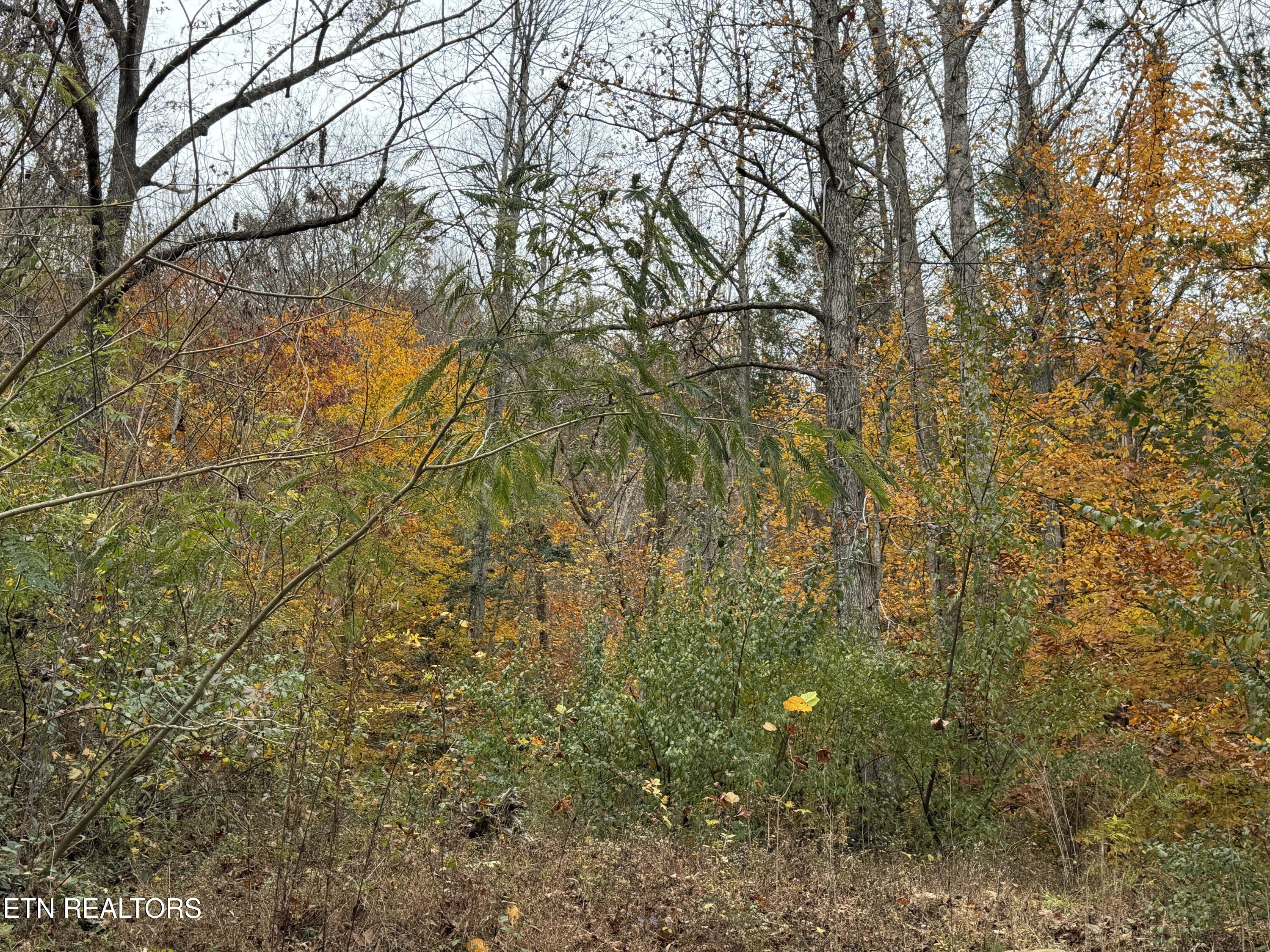 Stinking Creek Road Lafollette TN 37766