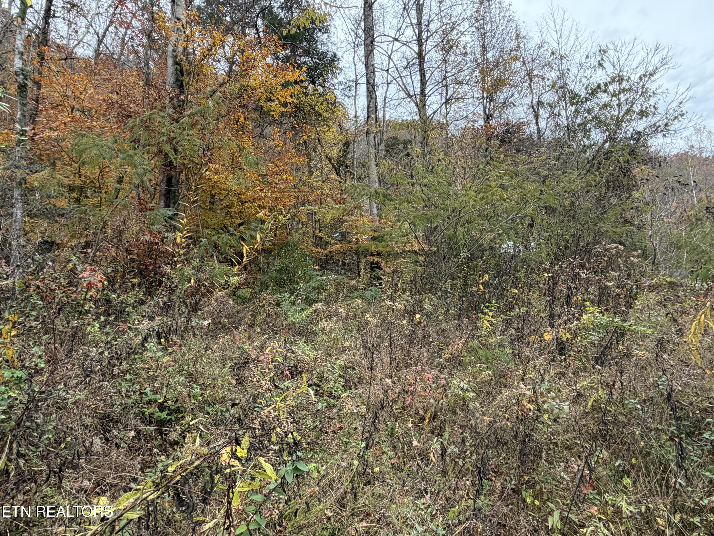 Stinking Creek Road Lafollette TN 37766