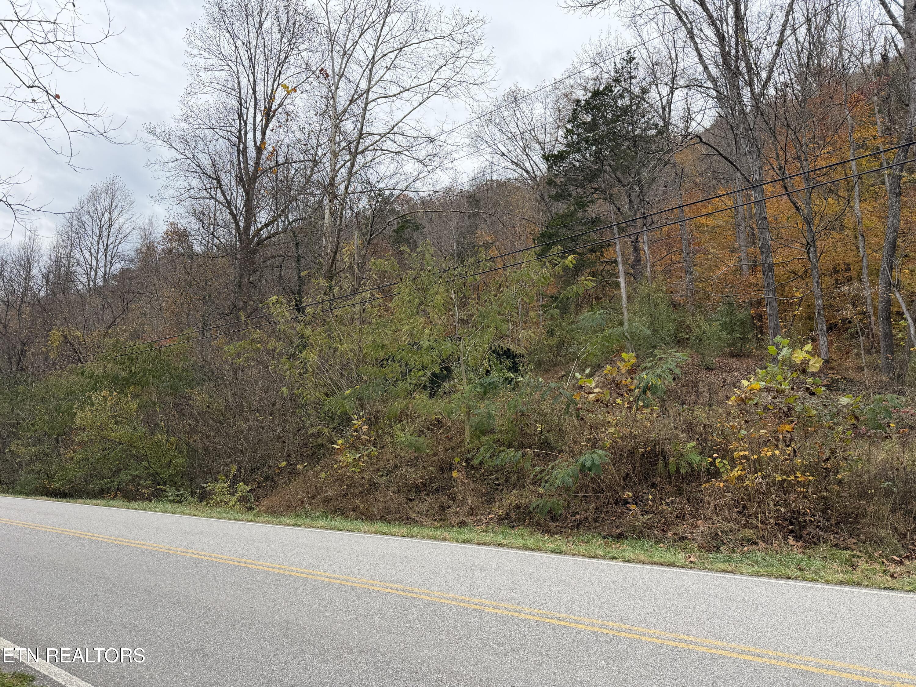 Stinking Creek Road Lafollette TN 37766