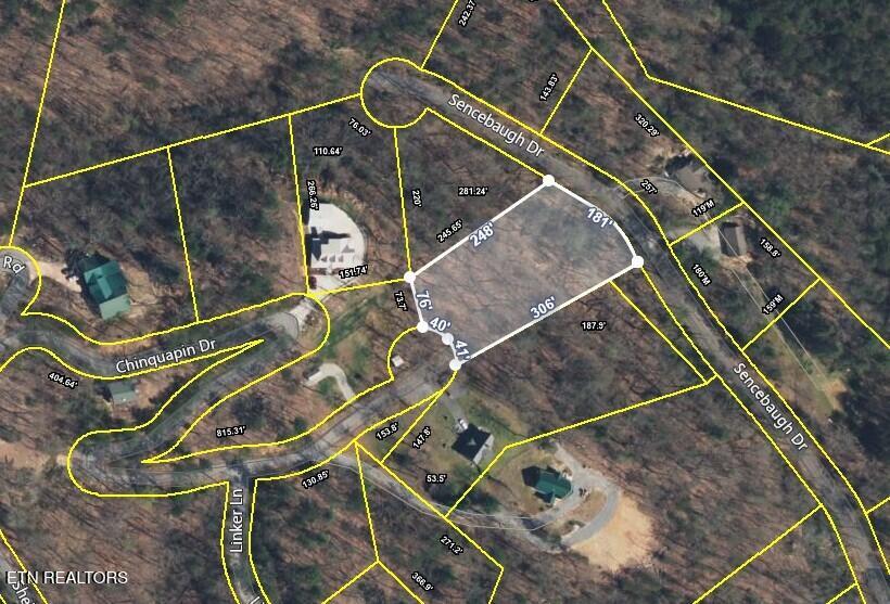 Chinquapin Sevierville TN 37876