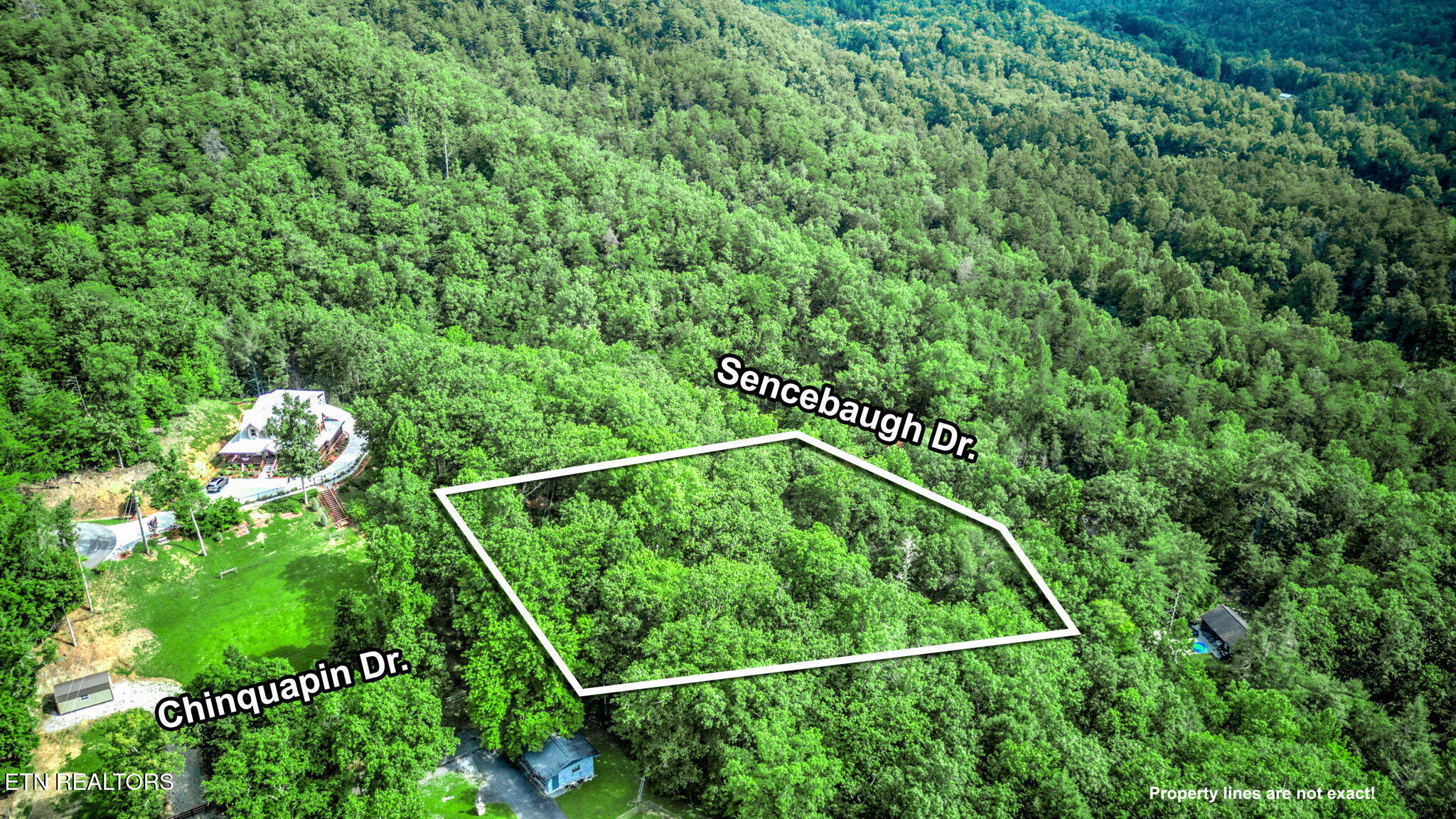 Chinquapin Sevierville TN 37876