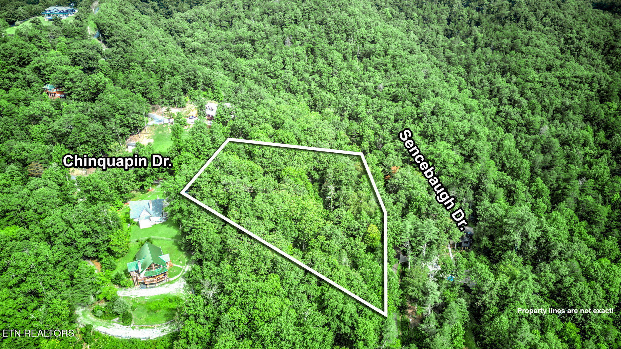 Chinquapin Sevierville TN 37876