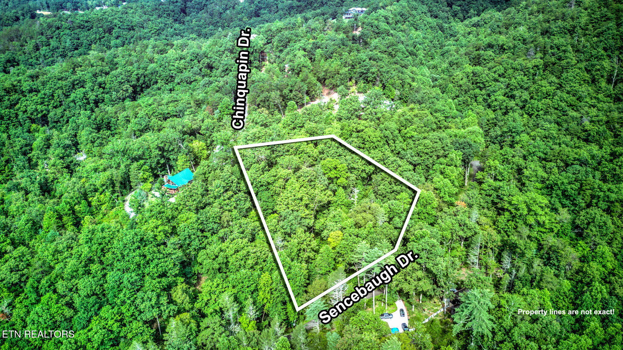 Chinquapin Sevierville TN 37876