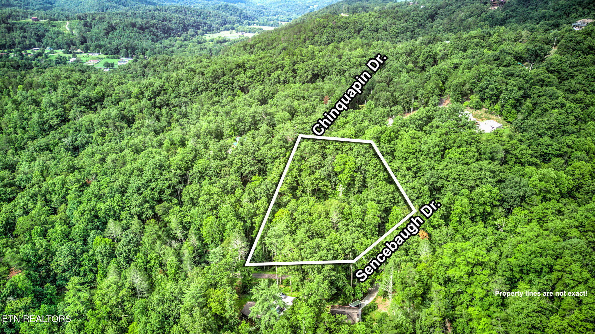 Chinquapin Sevierville TN 37876