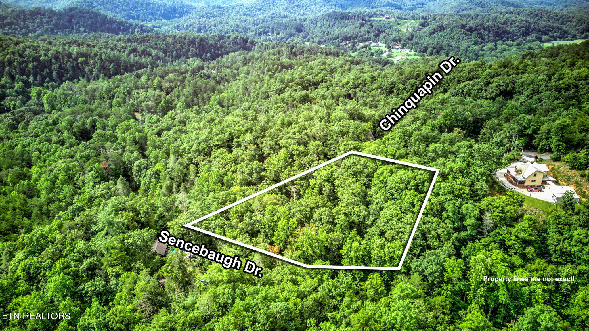 Chinquapin Sevierville TN 37876