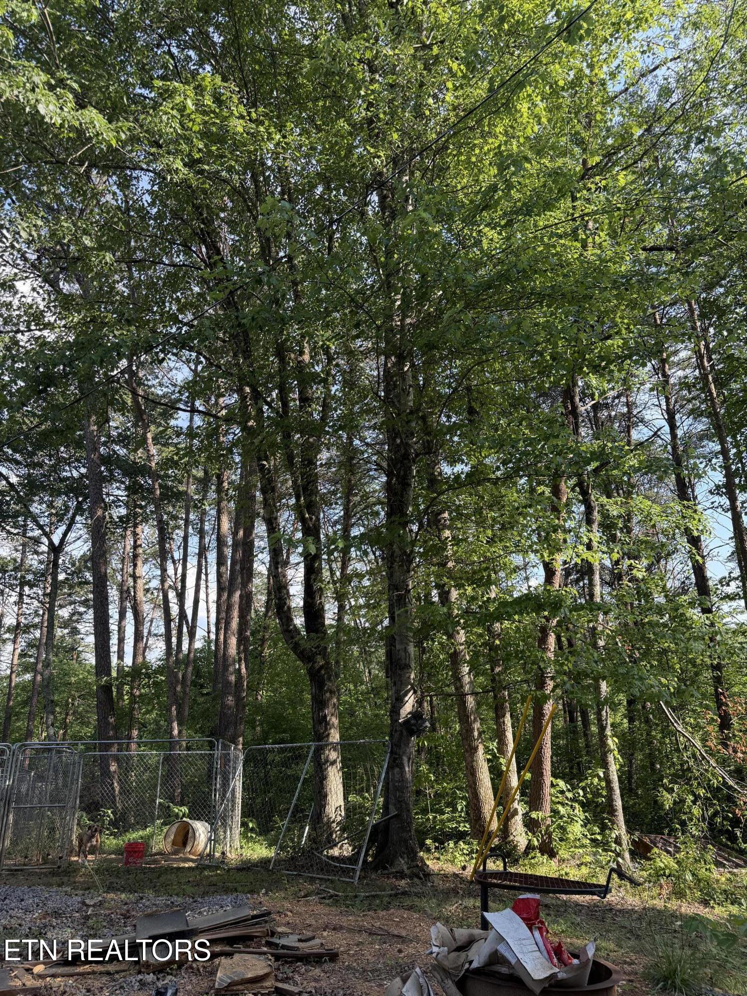 180 Mountain Road Tellico Plains TN 37385