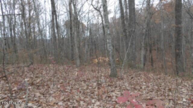 Lot 23 Cumberland Cove Road Monterey TN 38574