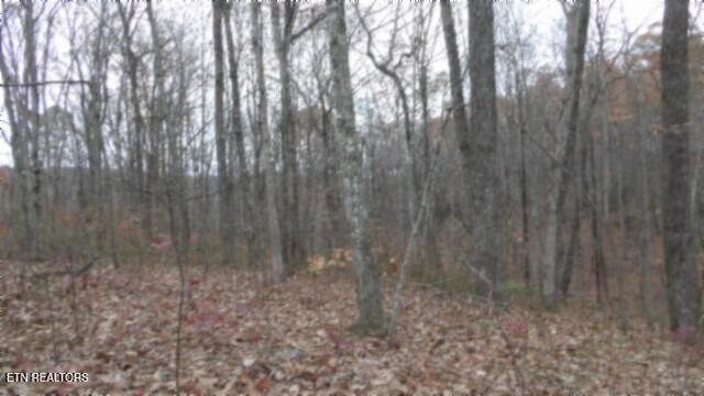 Lot 23 Cumberland Cove Road Monterey TN 38574
