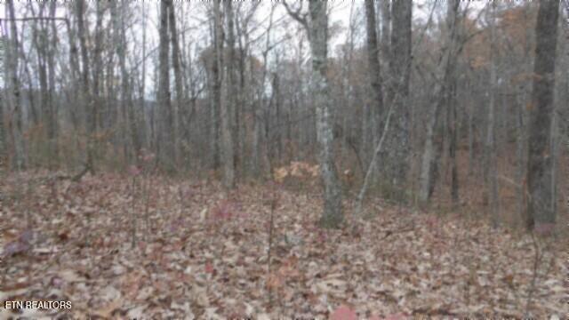 Lot 23 Cumberland Cove Road Monterey TN 38574