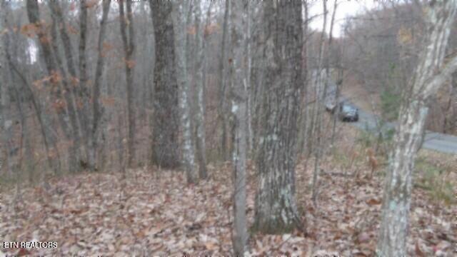 Lot 23 Cumberland Cove Road Monterey TN 38574