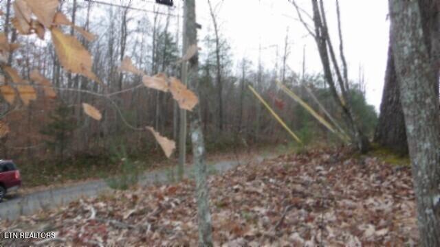 Lot 23 Cumberland Cove Road Monterey TN 38574
