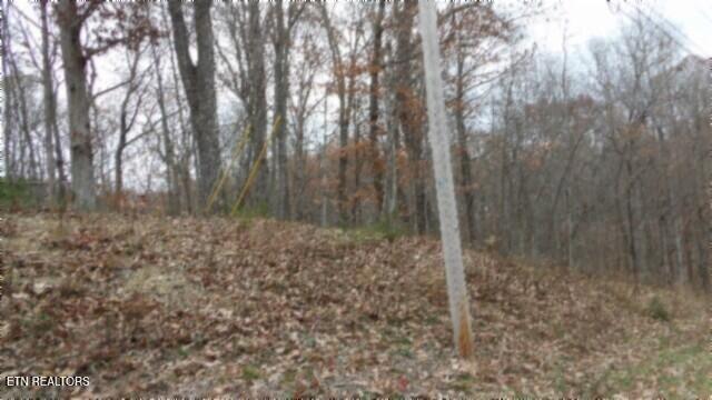 Lot 23 Cumberland Cove Road Monterey TN 38574