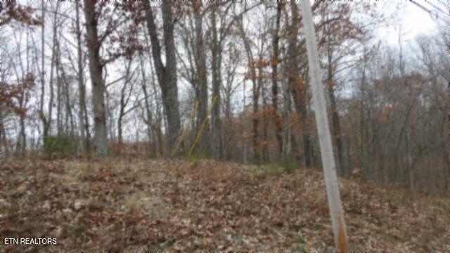 Lot 23 Cumberland Cove Road Monterey TN 38574