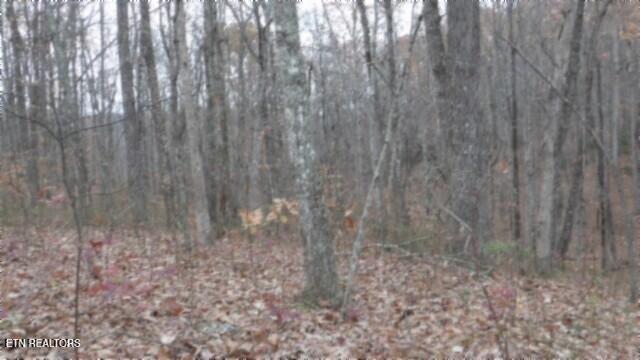 Lot 23 Cumberland Cove Road Monterey TN 38574