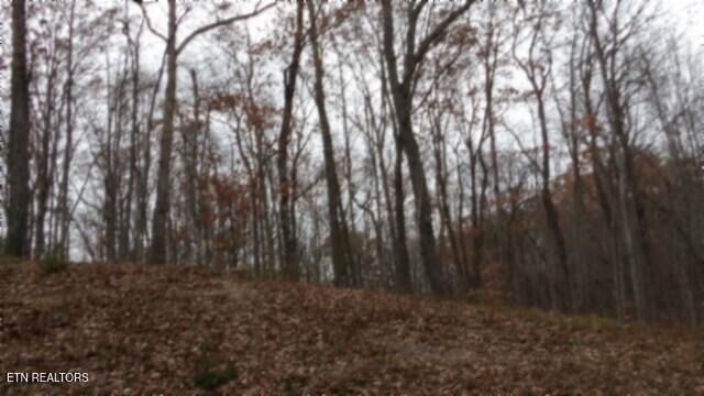 Lot 23 Cumberland Cove Road Monterey TN 38574