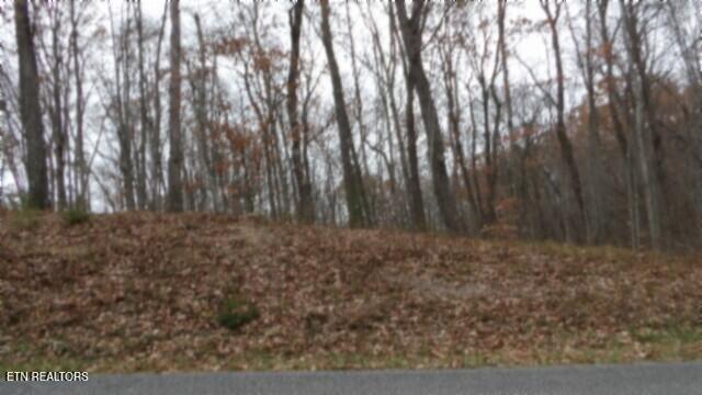 Lot 23 Cumberland Cove Road Monterey TN 38574