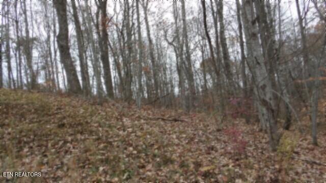 Lot 23 Cumberland Cove Road Monterey TN 38574