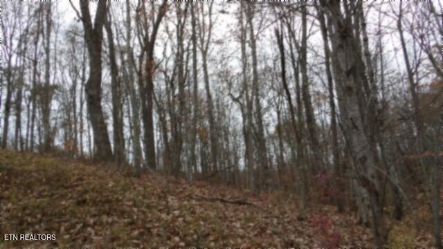 Lot 23 Cumberland Cove Road Monterey TN 38574