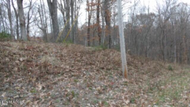 Lot 23 Cumberland Cove Road Monterey TN 38574