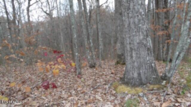 Lot 23 Cumberland Cove Road Monterey TN 38574