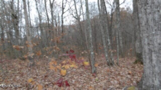 Lot 23 Cumberland Cove Road Monterey TN 38574