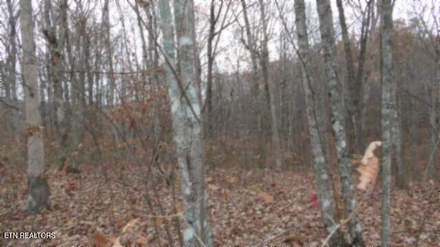 Lot 23 Cumberland Cove Road Monterey TN 38574