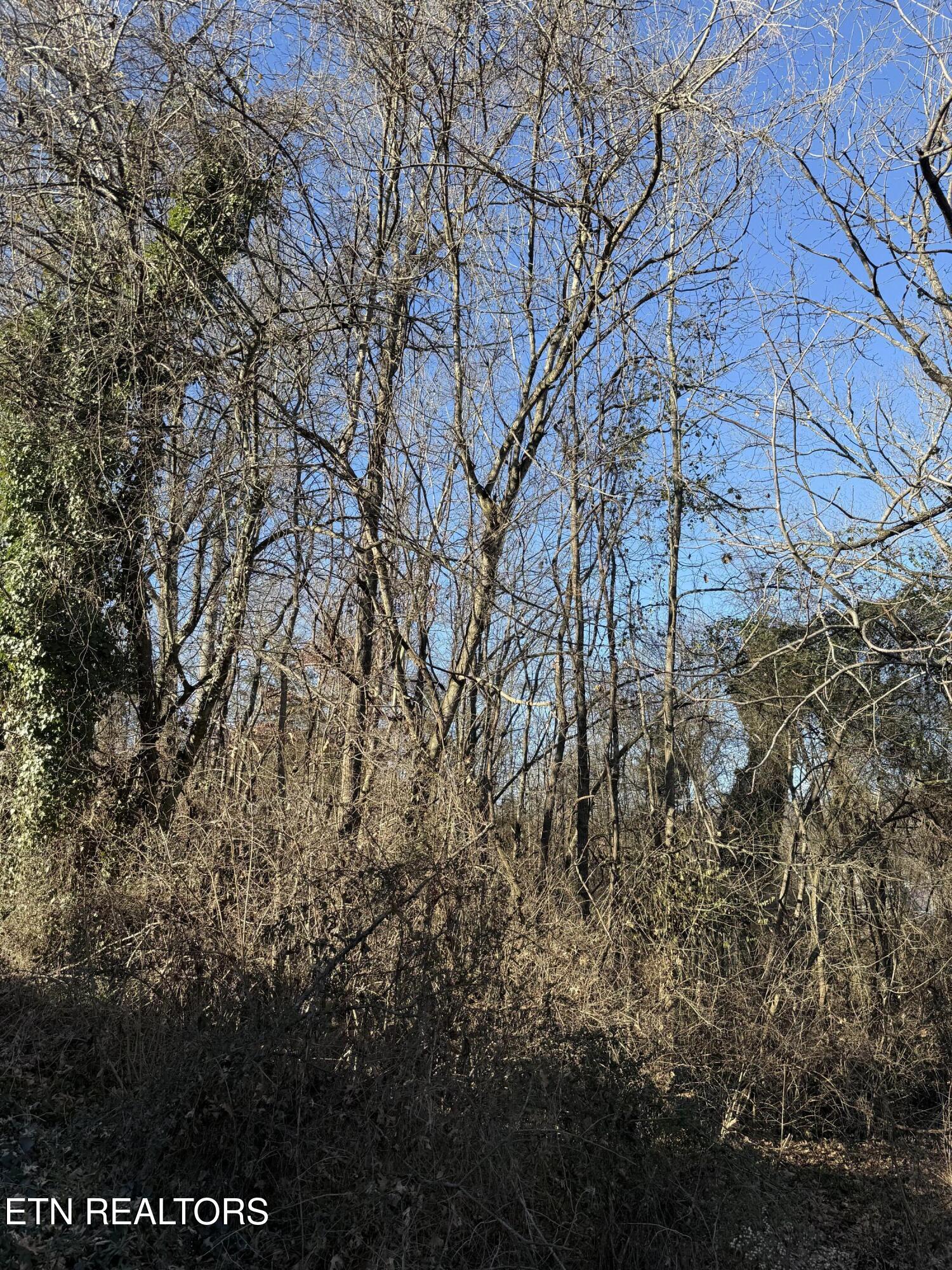 0 Edgar Street Knoxville TN 37996