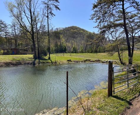 275 Republican Hill Road Newcomb TN 37819