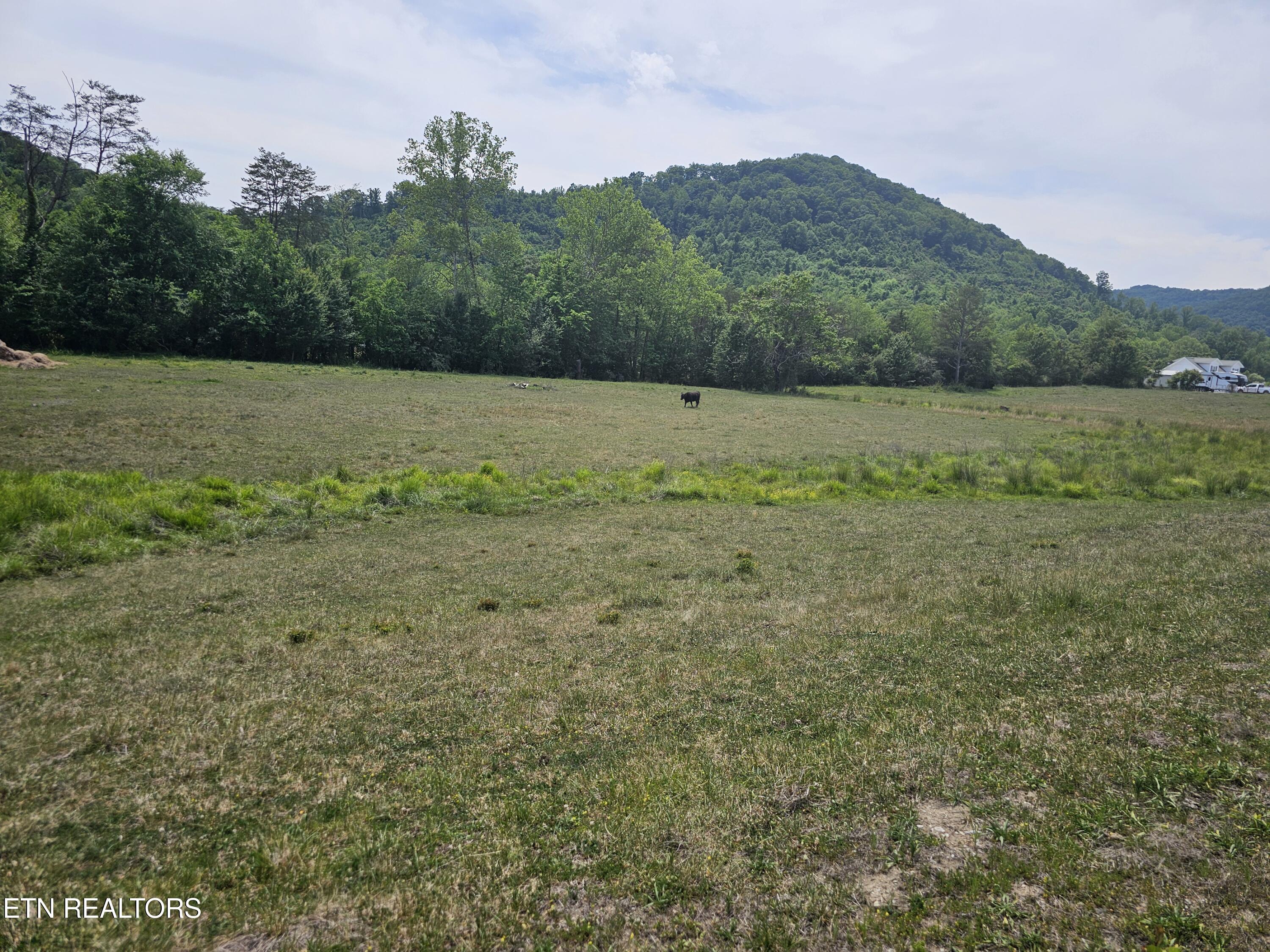 275 Republican Hill Road Newcomb TN 37819