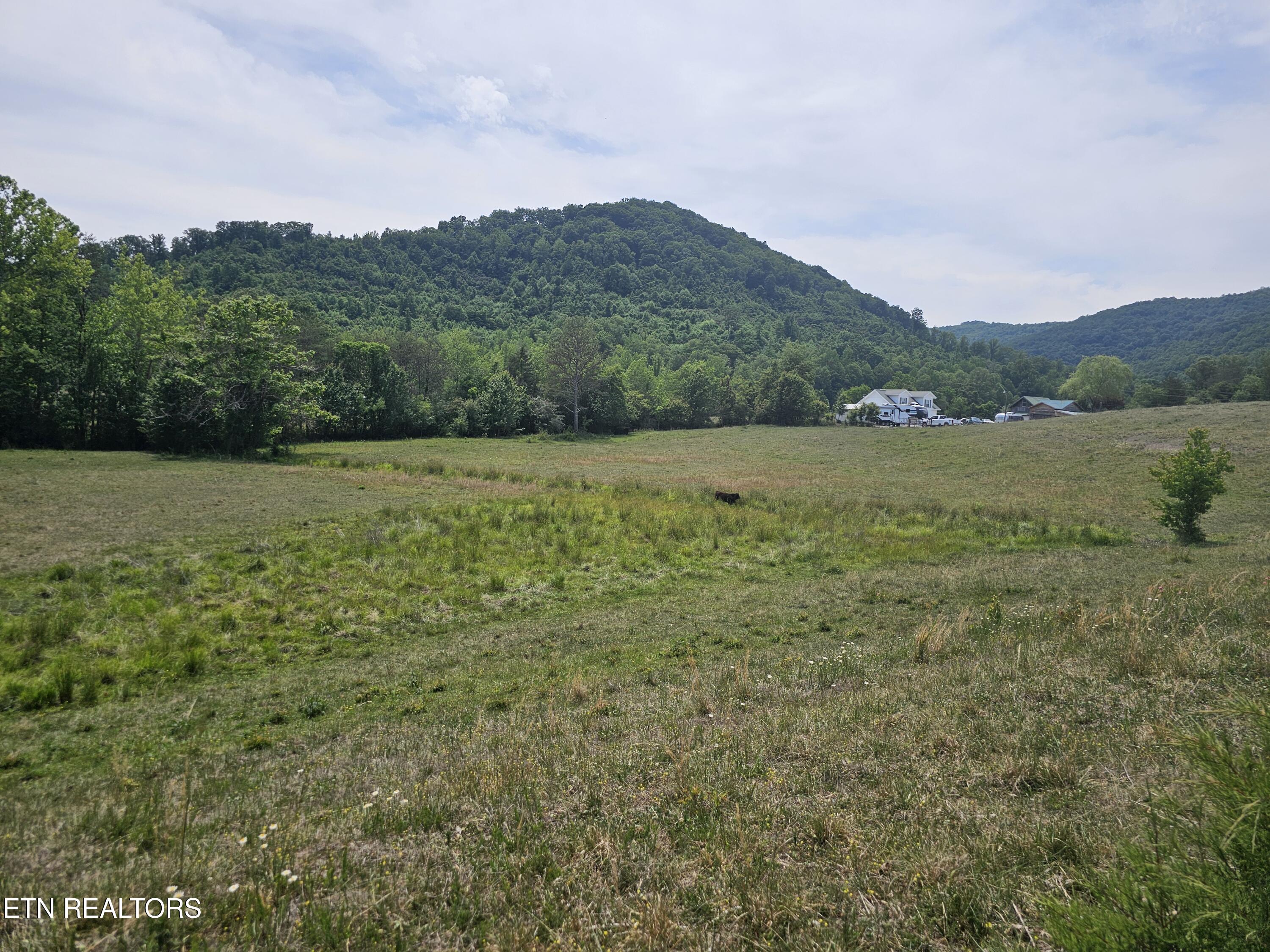 275 Republican Hill Road Newcomb TN 37819