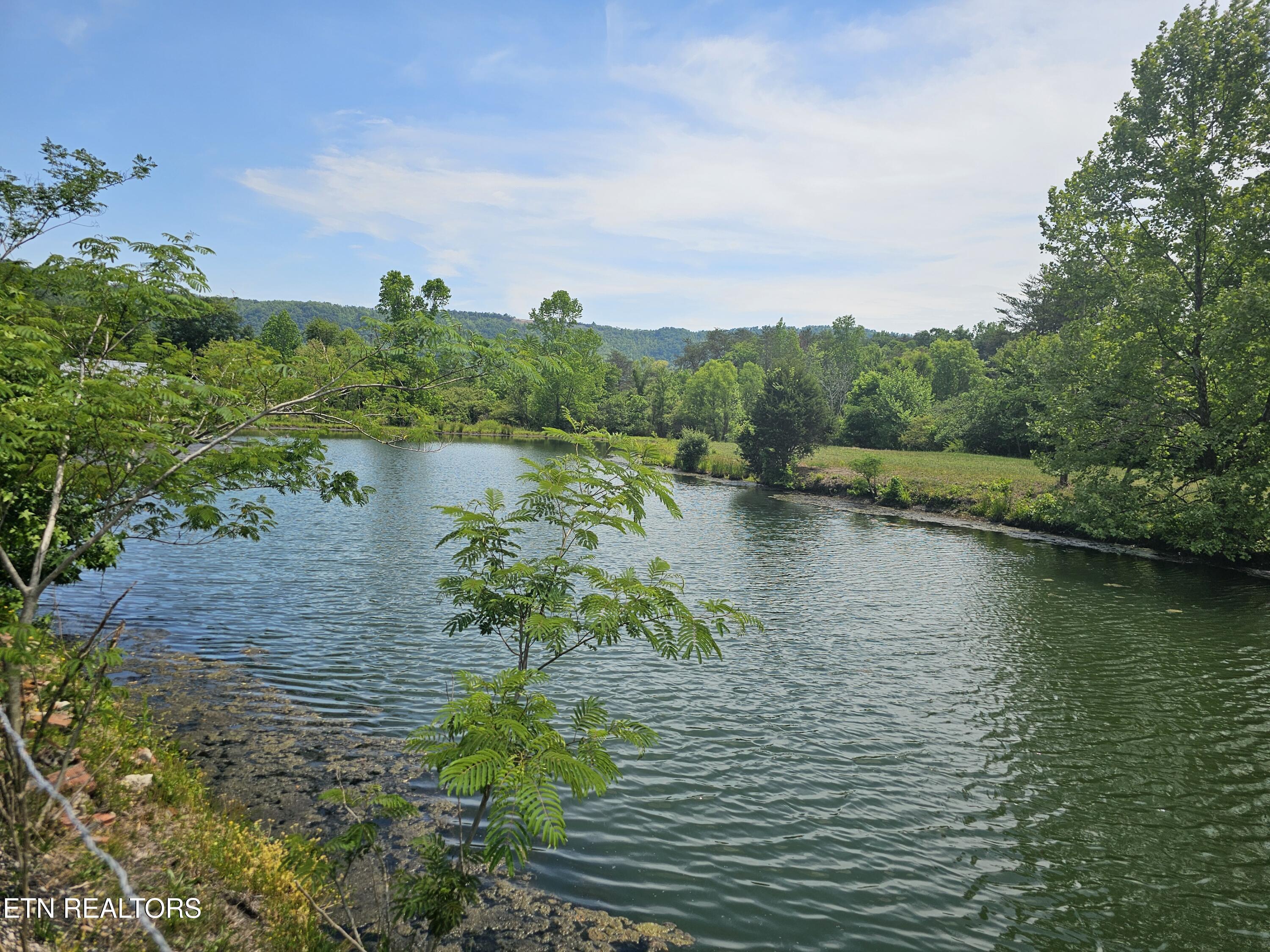 275 Republican Hill Road Newcomb TN 37819