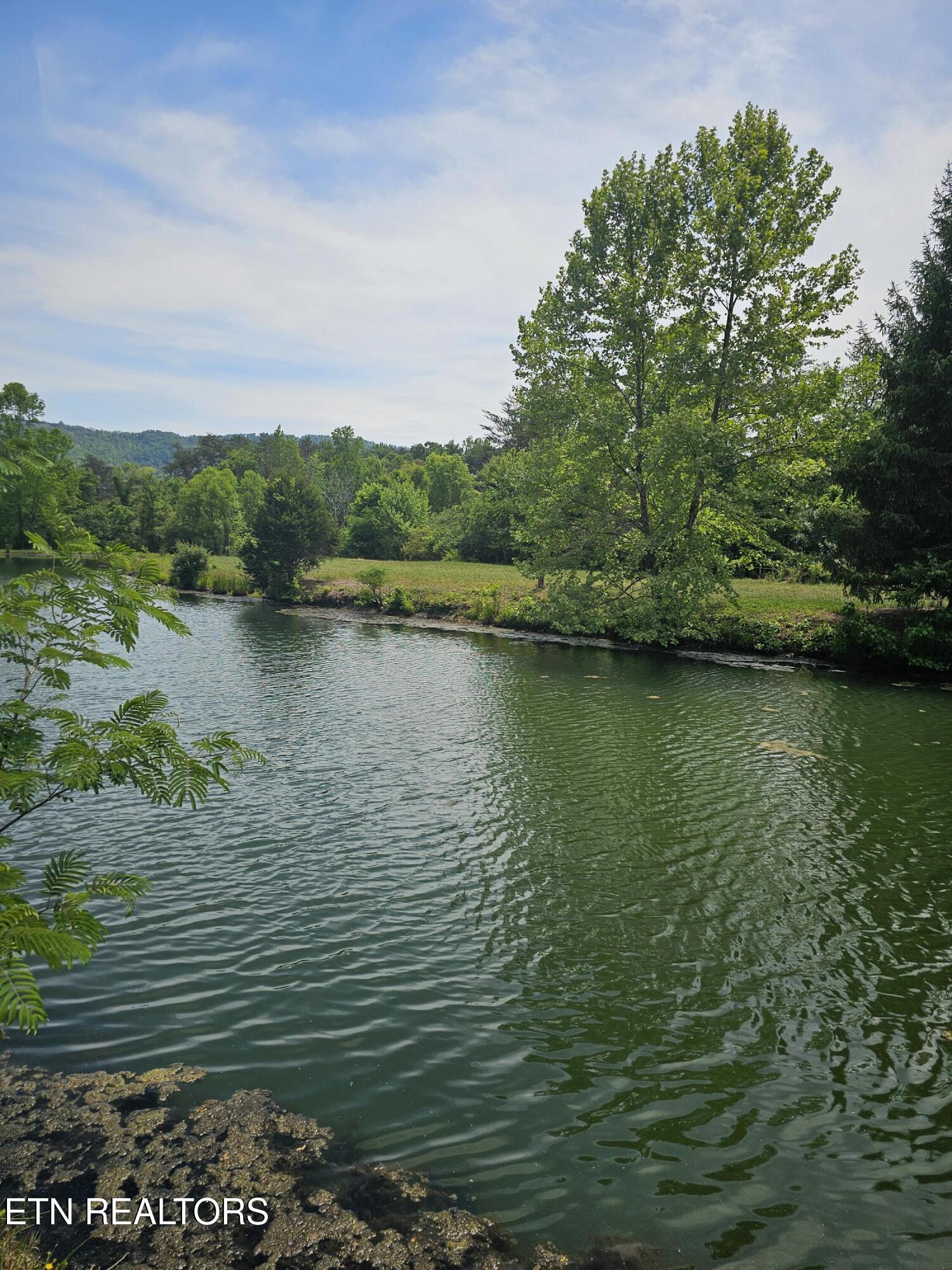 275 Republican Hill Road Newcomb TN 37819
