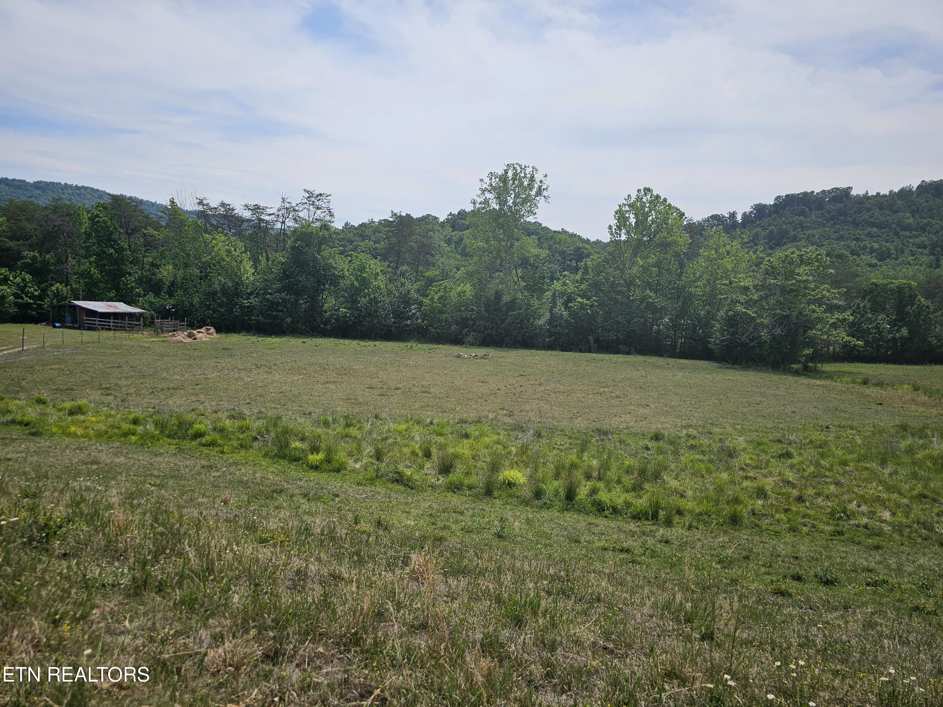 275 Republican Hill Road Newcomb TN 37819