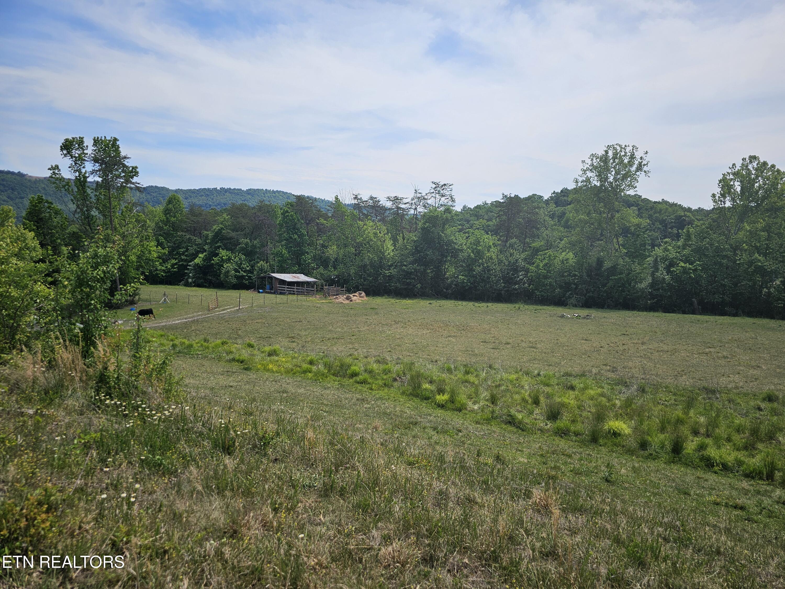 275 Republican Hill Road Newcomb TN 37819