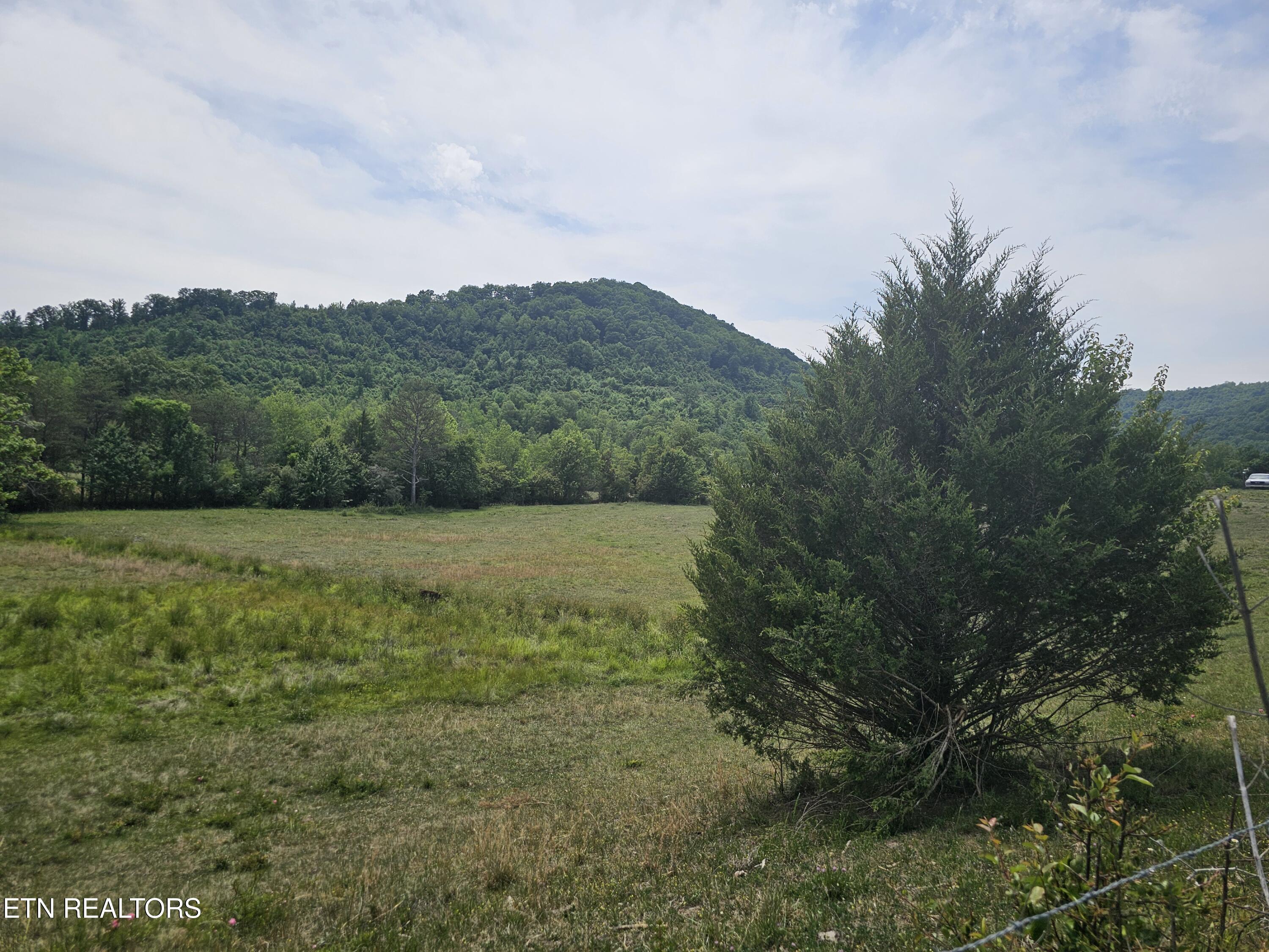 275 Republican Hill Road Newcomb TN 37819