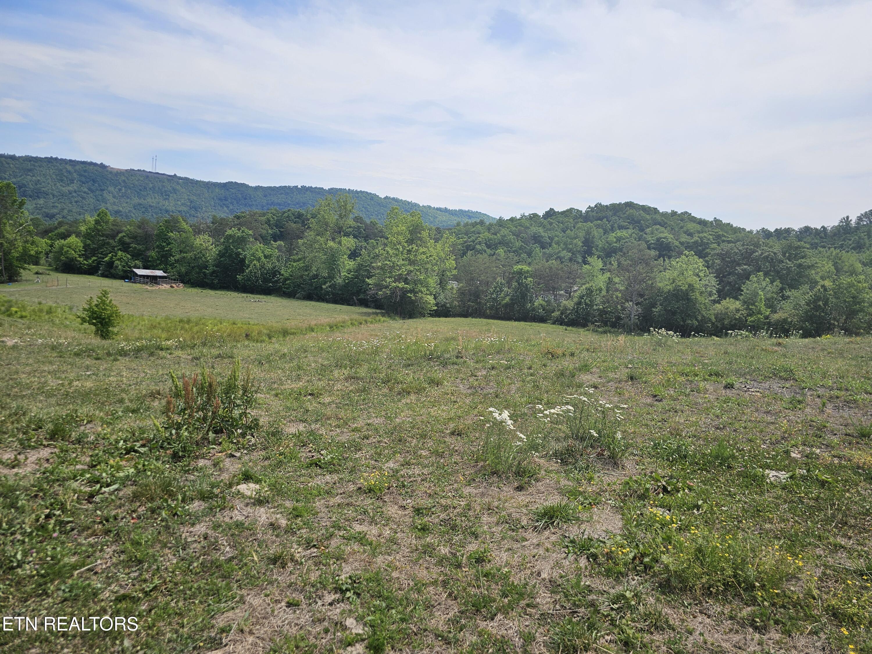 275 Republican Hill Road Newcomb TN 37819