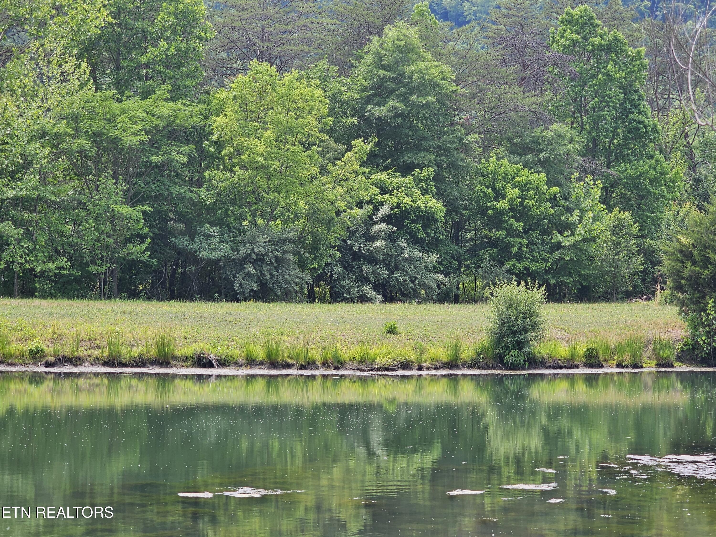 275 Republican Hill Road Newcomb TN 37819