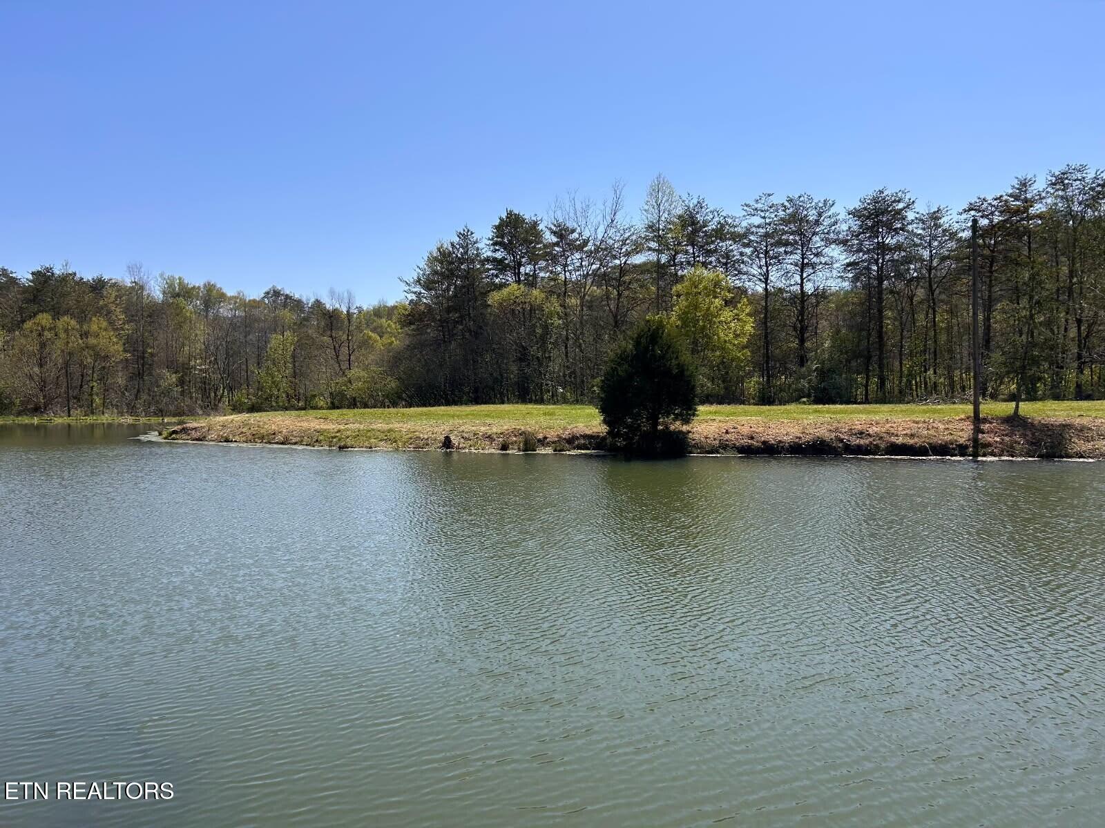 275 Republican Hill Road Newcomb TN 37819