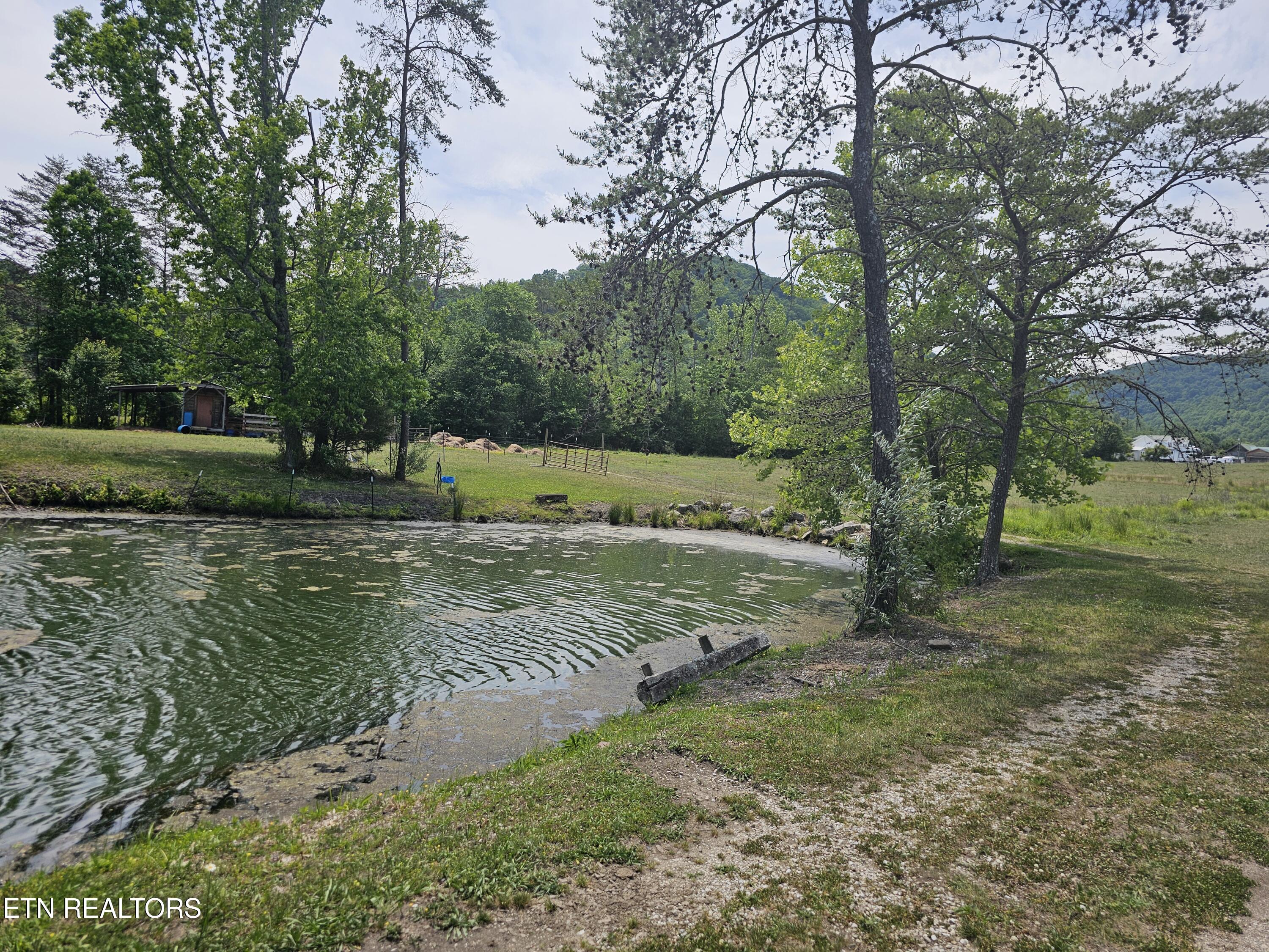 275 Republican Hill Road Newcomb TN 37819
