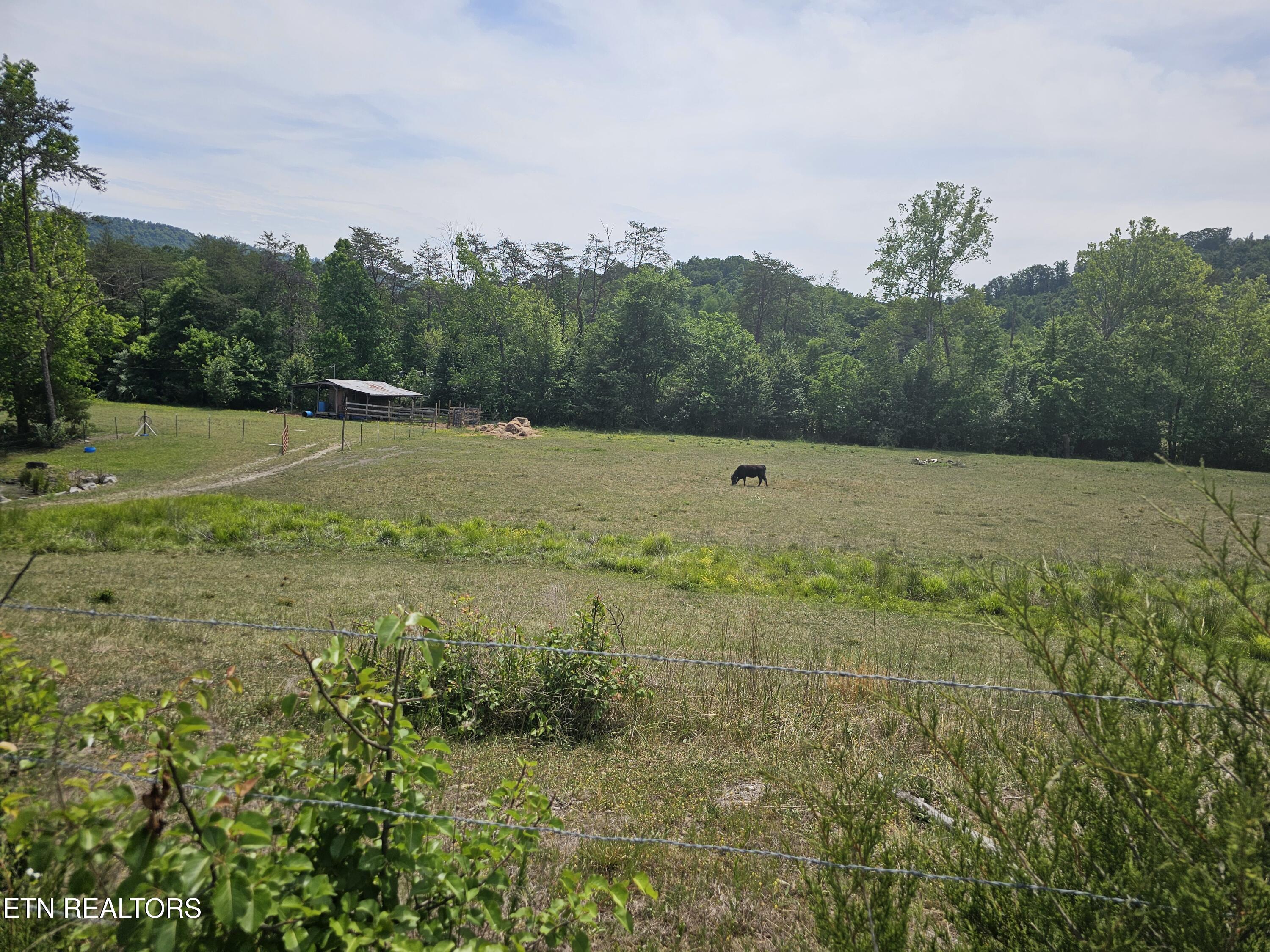 275 Republican Hill Road Newcomb TN 37819