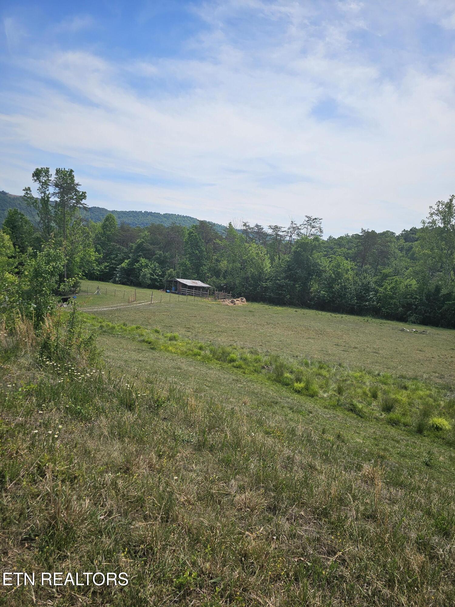 275 Republican Hill Road Newcomb TN 37819
