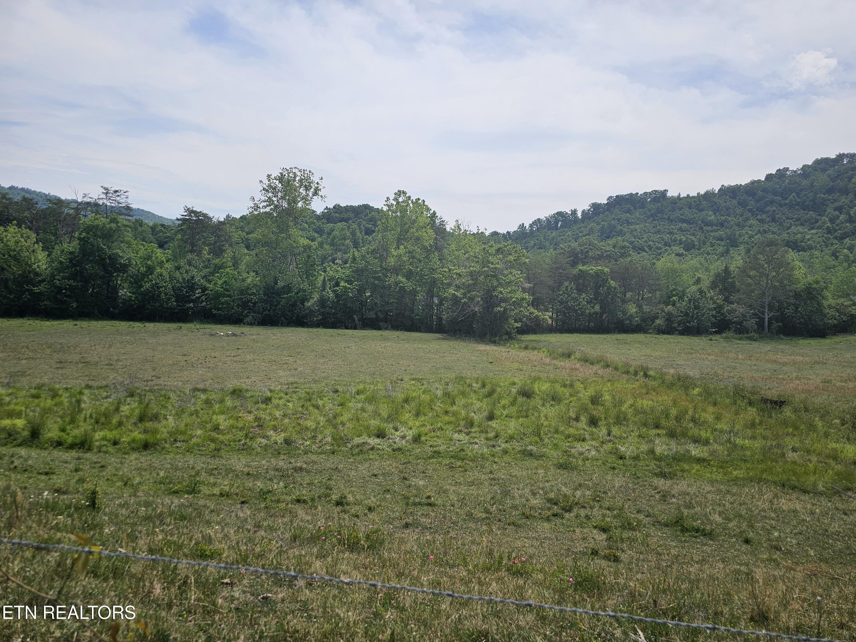 275 Republican Hill Road Newcomb TN 37819