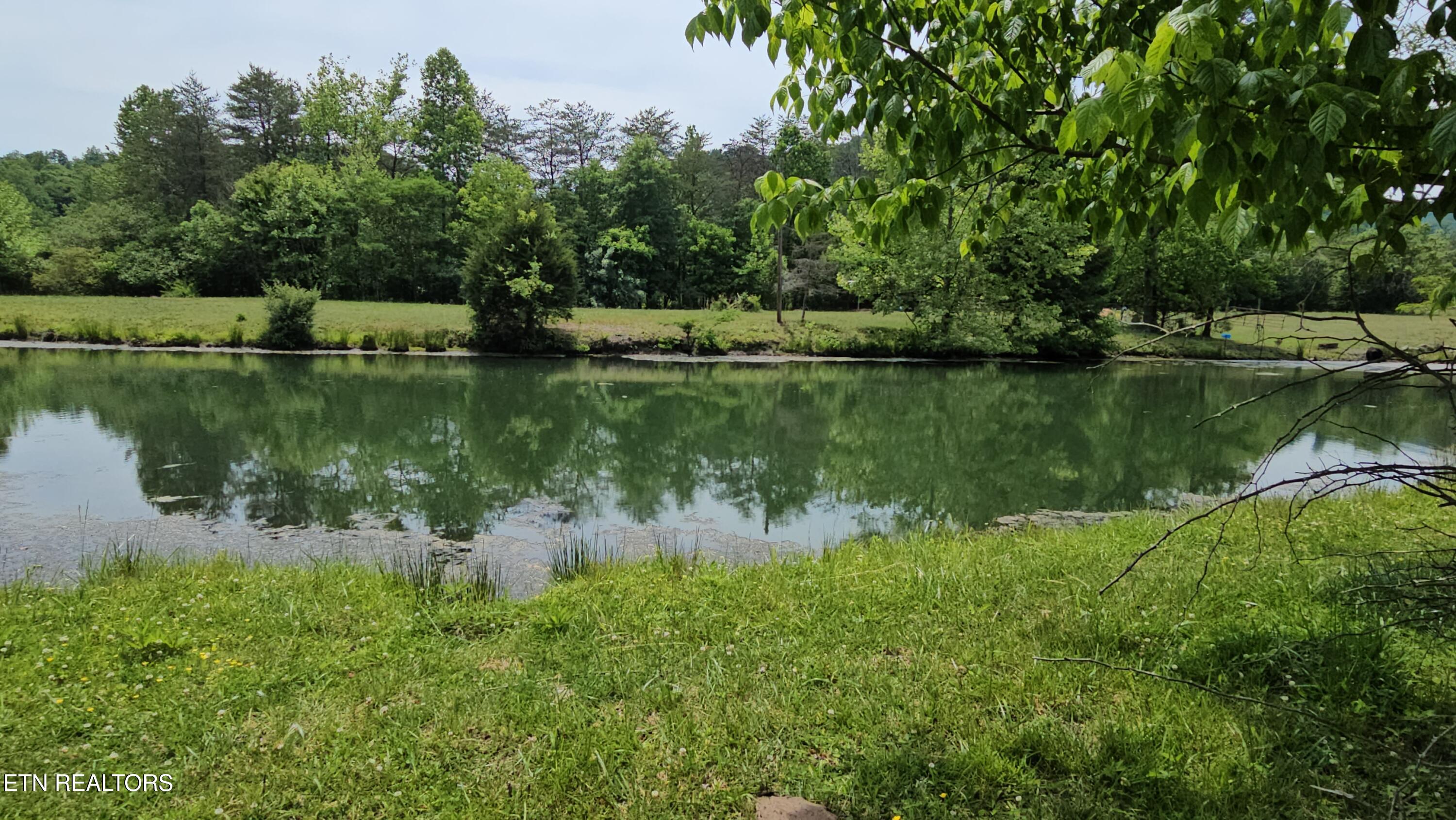 275 Republican Hill Road Newcomb TN 37819