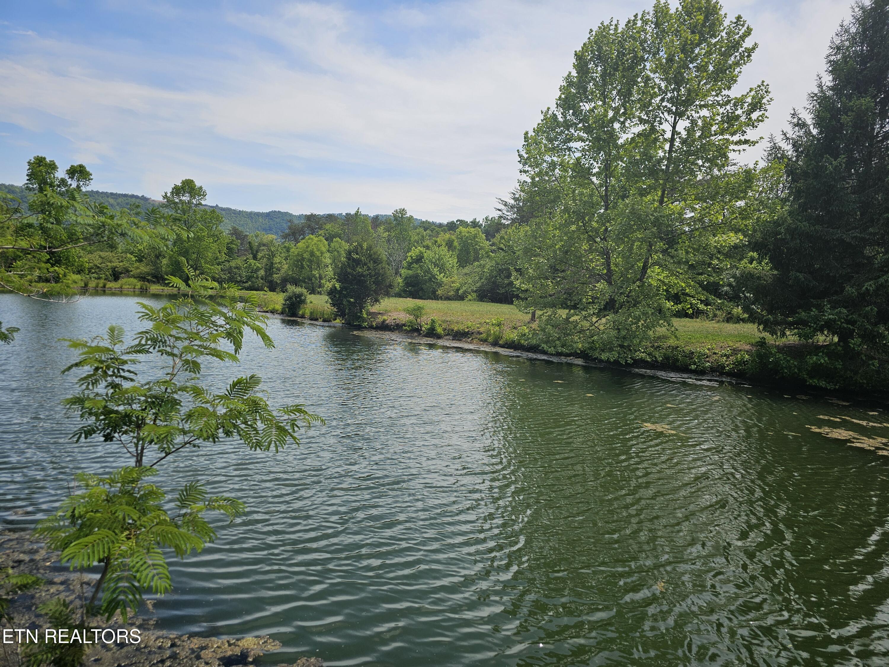 275 Republican Hill Road Newcomb TN 37819