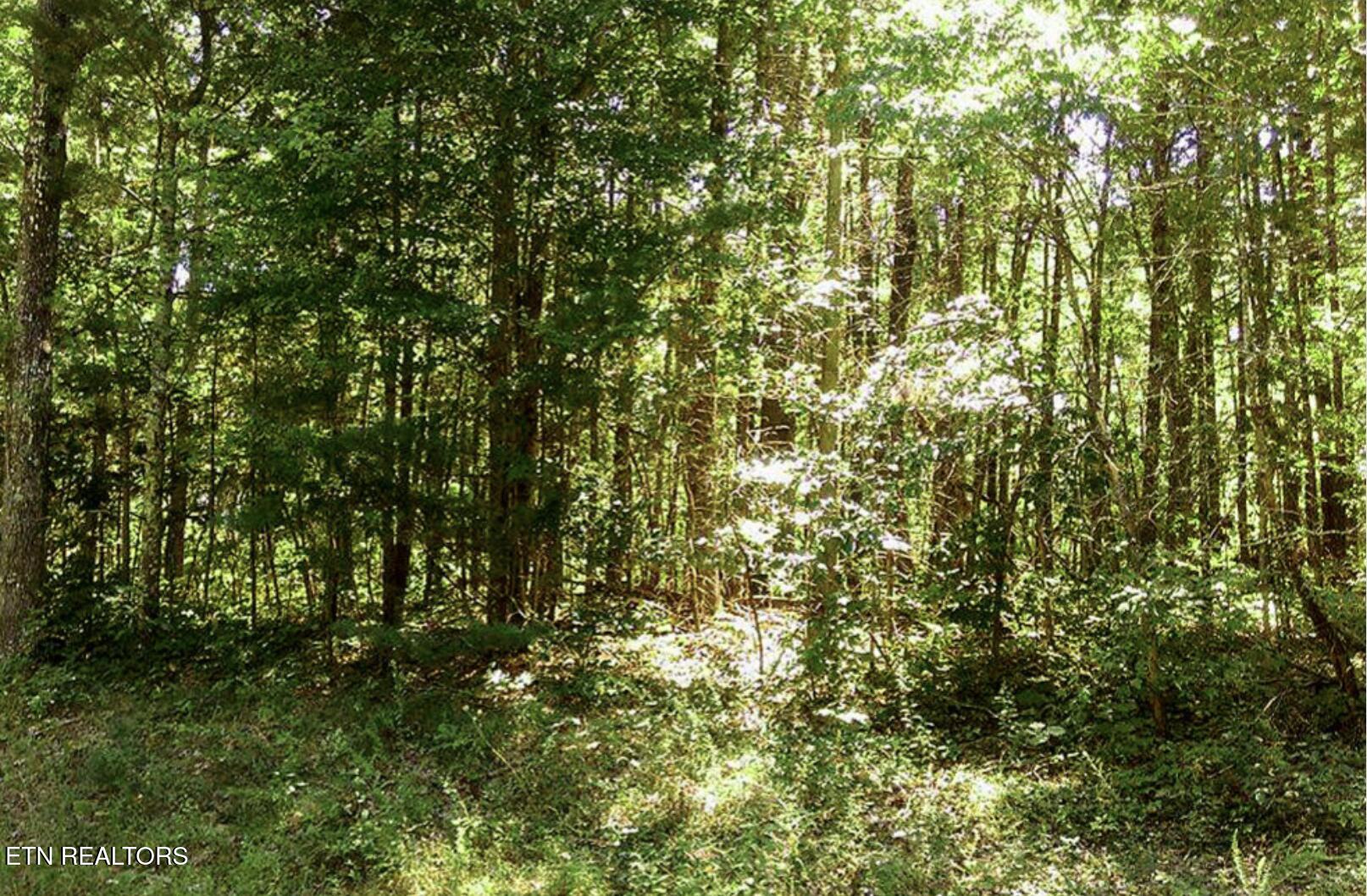 Bell Road Crossville TN 38571