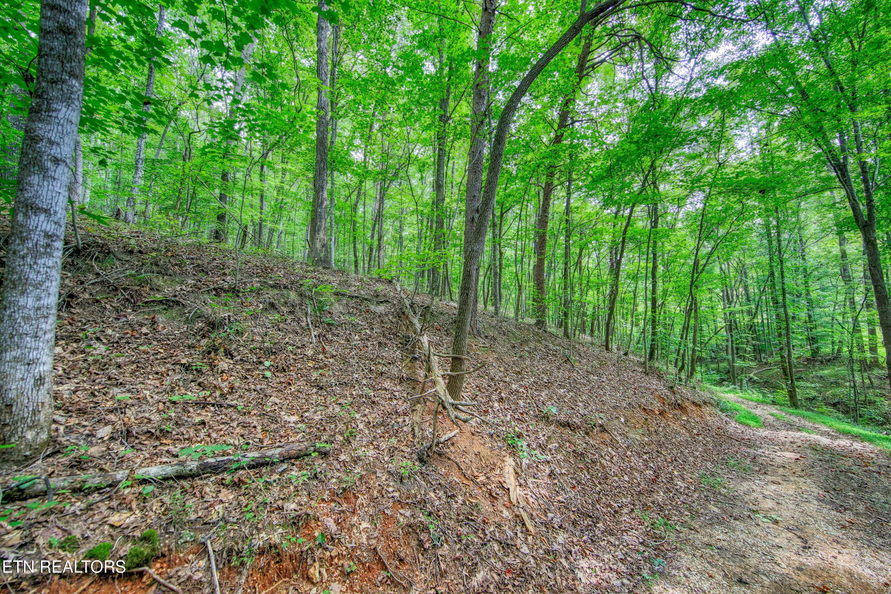 303 Tar Town Hollow Lane Lafollette TN 37766