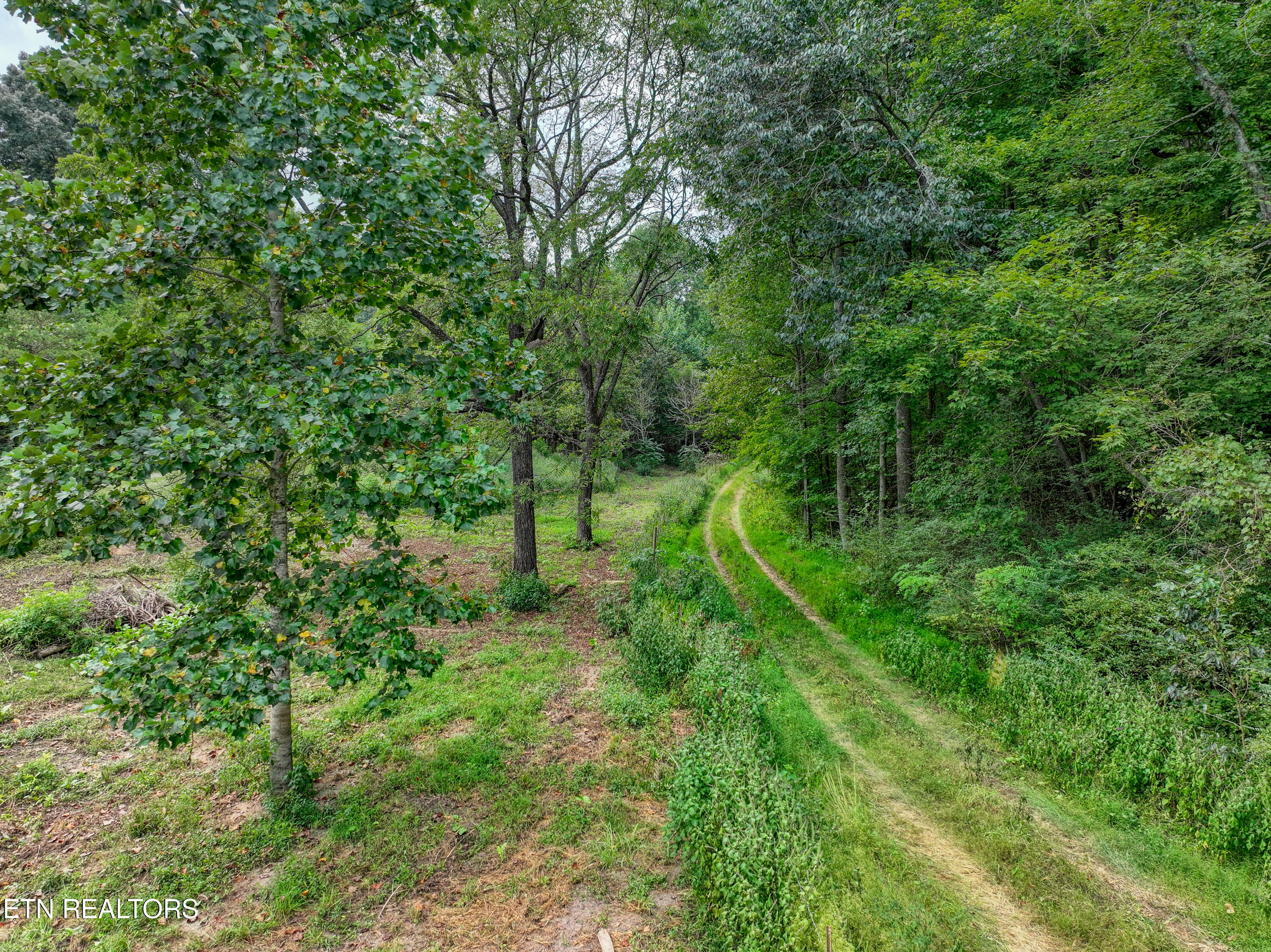 303 Tar Town Hollow Lane Lafollette TN 37766