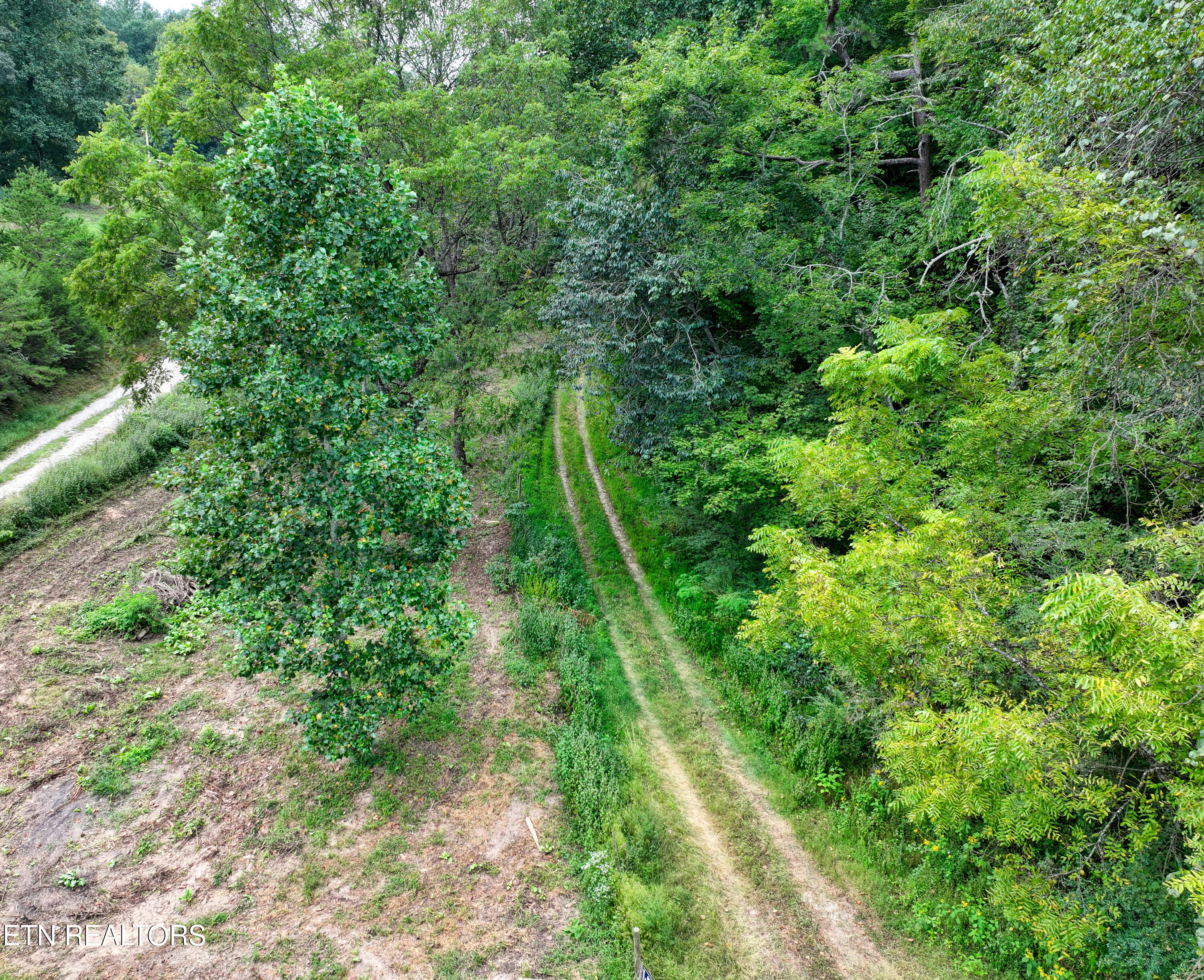 303 Tar Town Hollow Lane Lafollette TN 37766